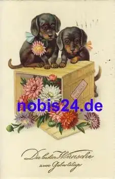 Dackel mit Postkiste o 1928