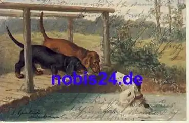 Dackel auf Brücke Postkarte o 1907