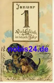 Dackel Neujahr Prägekarte o 1905
