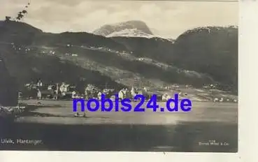 Hardanger Ulvik NORWEGEN  *ca.1925