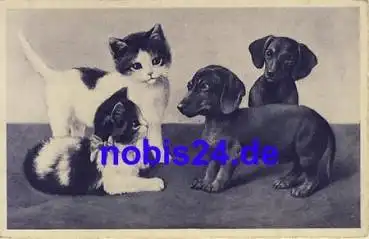 Dackel und Katzen *ca.1930