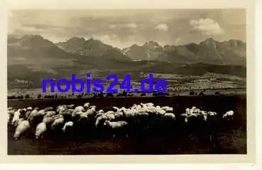 Vysoke Tatry *ca.1950