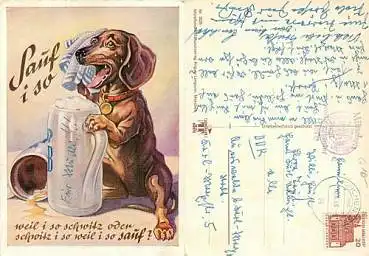 Dackel mit Bier o 16.6.1966