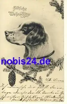 Jagdhund Weihnachten o 1905