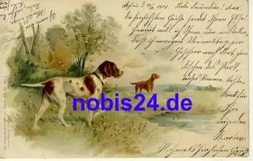 Jagdhunde Künstlerkarte o 1901