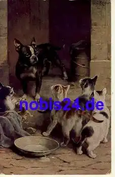 Hund und Katzen Künstlerkarte *ca.1915