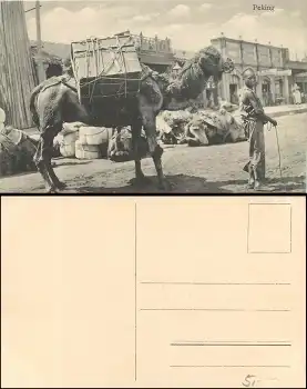 China Peking Junge mit Kamel *ca.1910