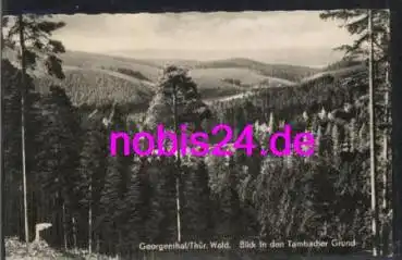 99887 Georgenthal Tambacher Grund o 3.9.1960