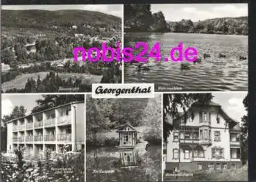 99887 Georgenthal Kurheime Teich Park *ca.1982