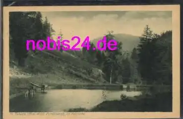 99891 Tabarz Forellenteich Felsental o 24.7.1924