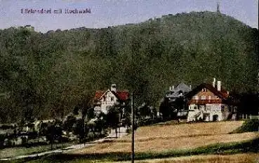 02799 Lückendorf mit Hochwald * ca. 1920