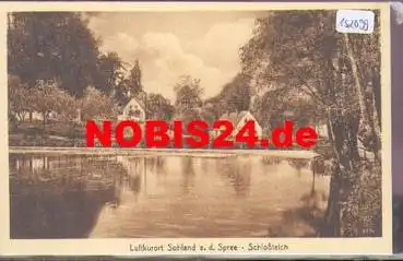 02689 Sohland Schlossteich  *ca. 1920