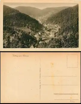 78098 Triberg vom Hohnen  *ca. 1920