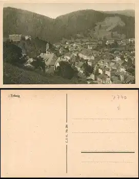 78098 Triberg Totalansicht *ca. 1930