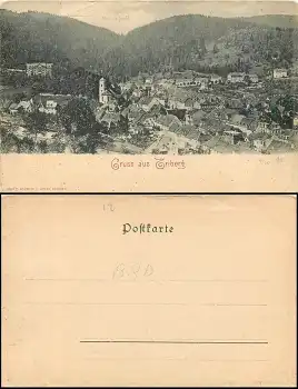 78098 Triberg Totalansicht *ca. 1900
