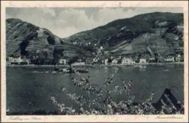 65385 Assmannshausen im Frühling o 20.9.1929