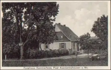 65385 Assmannshausen Forsthaus Kammerforst gebr. 13.4.1931
