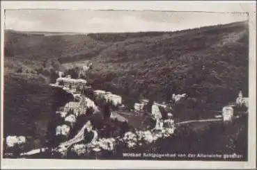 65388 Schlangenbad vom der Altaneiche o 1.8.1929