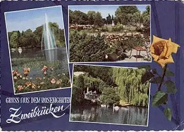 Zweibrücken Rosengarten o 22.7.195