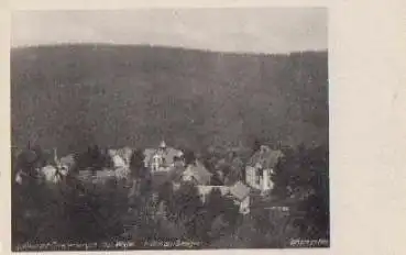 99898 Finsterbergen Villen am Steiger  * ca. 1940