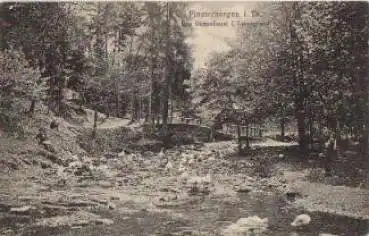 99898 Finsterbergen Das Gänseliesel im Leinagrund o 29.7.1911