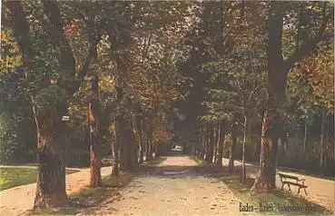 Baden-Baden Lichtentaler Allee Wiro-Künstlerkarte * ca.1920