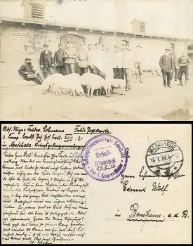59872 Meschede Kriegsgefangenenlager mit Lagerstempel Echtfoto mit Schweinen 15.7.916