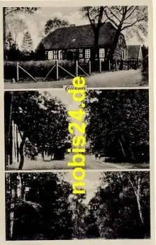 39317 Güsen o 4.8.1955