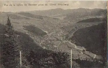 Munster Totalansicht * ca. 1910