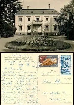 17258 Feldberger Seenlandschaft Erholungsheim Hullerbusch * 1967 Hanich0277