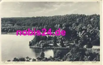 16816 Binenwalde Am Kalksee  *ca.1920