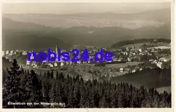 08309 Eibenstock von der Wintergrün *ca.1930