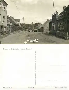 17237 Zwensow am Grossen Labus See Gasthaus Eggebrecht *1956 Hanich0241