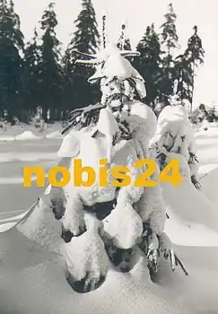 Winterwald im Erzgebirge *1966 Hanich1998