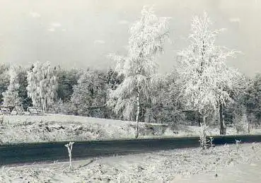Erzgebirge im Winter *1966 Hanich2006