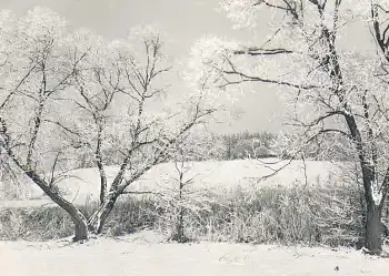 Erzgebirge im Winter *1966 Hanich2000