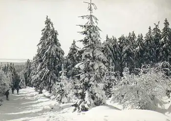 Winterwald im Erzgebirge *1966 Hanich2003