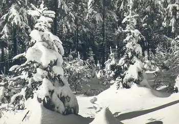 Winterwald im Erzgebirge *1966 Hanich2021