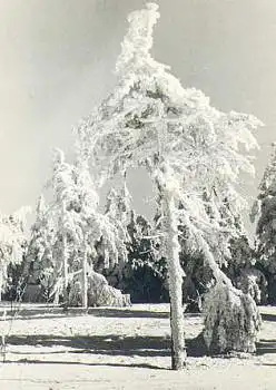 Erzgebirge Im Winter *1966 Hanich2001
