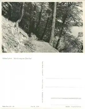 17279 Hohenlychen Wanderweg am Zens See *1958 Hanich1136