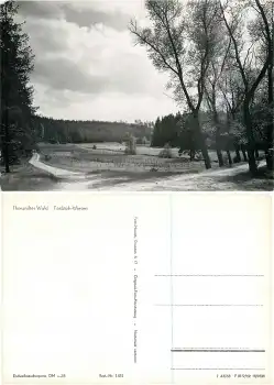 01737 Grillenburg Tharandter Wald Triebisch Wiesen *1963 Hanich1431