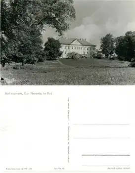 17237 Hohenzieritz Schlosspark *1959 Hanich0045