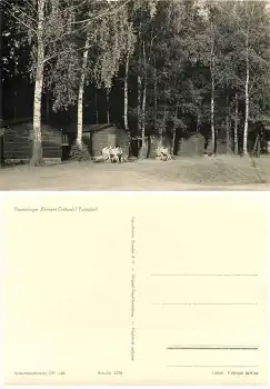 01824 Papstdorf Pionierlager "Klement Gottwald" *1961 Hanich1326