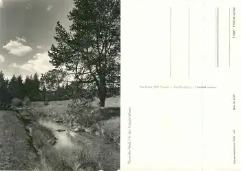 01737 Grillenburg Tharander Wald Triebisch Wiesen *1967 Hanich1428