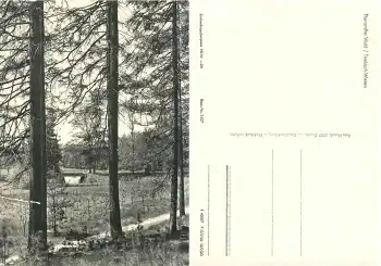 01737 Grillenbrug Tharander Wald Triebisch Wiesen *1967 Hanich1427