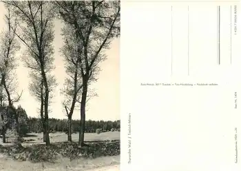 01737 Grillenburg Tharander Wald Triebisch Wiesen *1968 Hanich1426