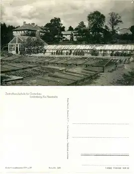 17235 Lindenberg Zentralberufsschule für Gartenbau Gewächshaus *1962 Hanich0240