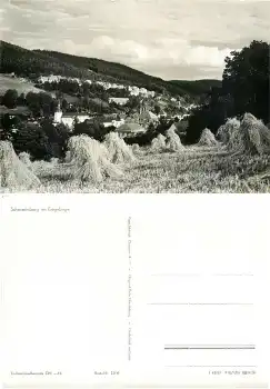01762 Schmiedeberg Erzgebirge *1961 Hanich1306