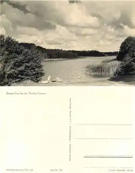 17252 Zootzen See bei Fleether Tannen *1962