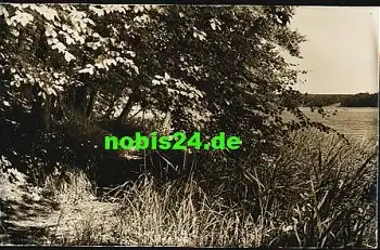 17279 Hohenlychen Zens Steig am Zens See *1959 Hanich1144